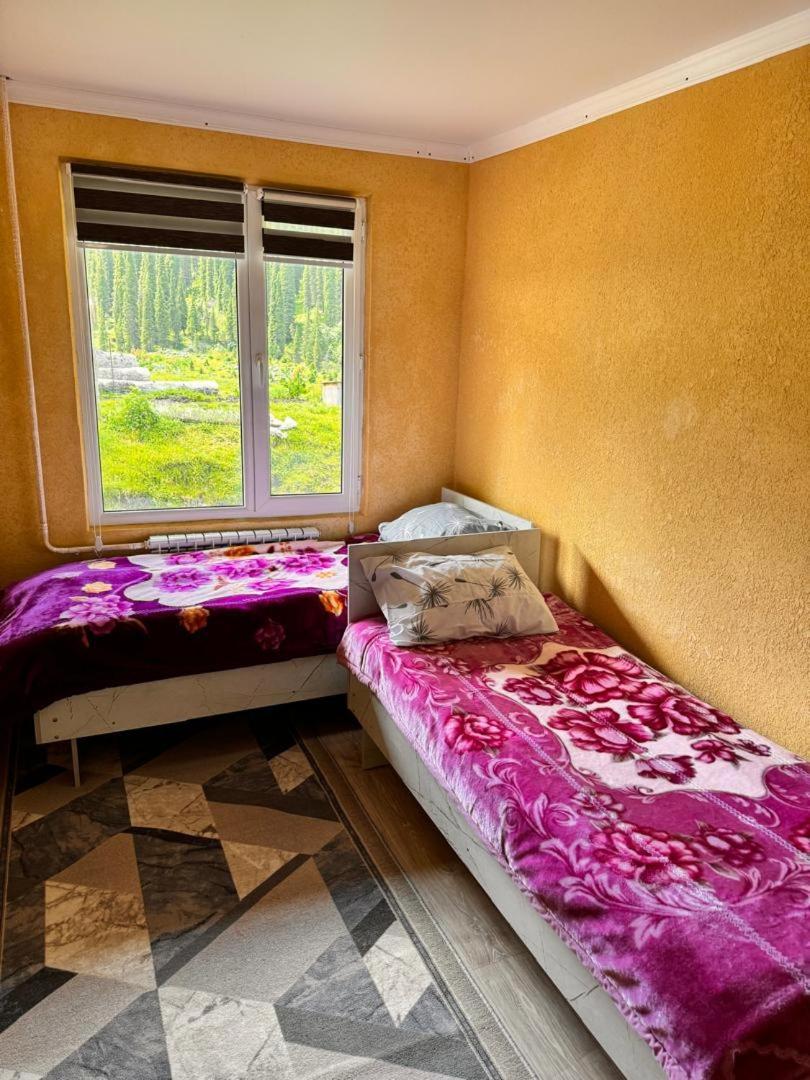 Ala-Kul Guesthouse In Altyn-Arashan Каракол Екстериор снимка