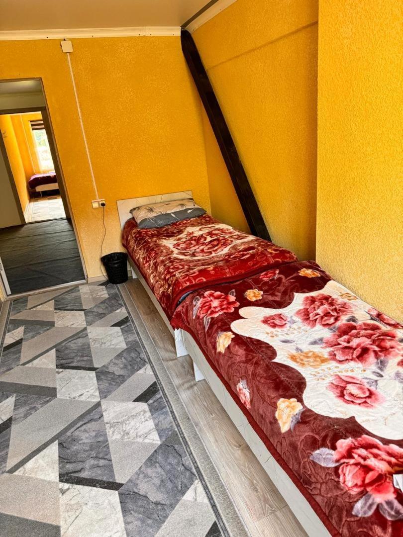 Ala-Kul Guesthouse In Altyn-Arashan Каракол Екстериор снимка