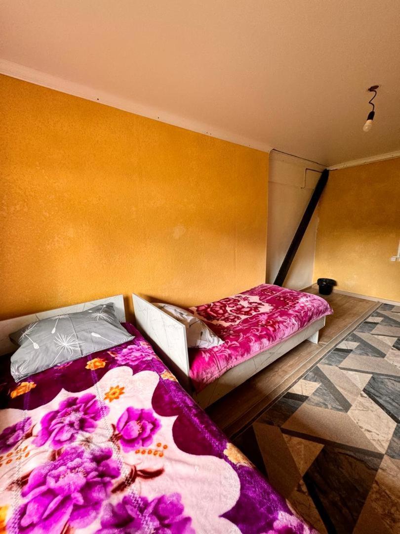 Ala-Kul Guesthouse In Altyn-Arashan Каракол Екстериор снимка