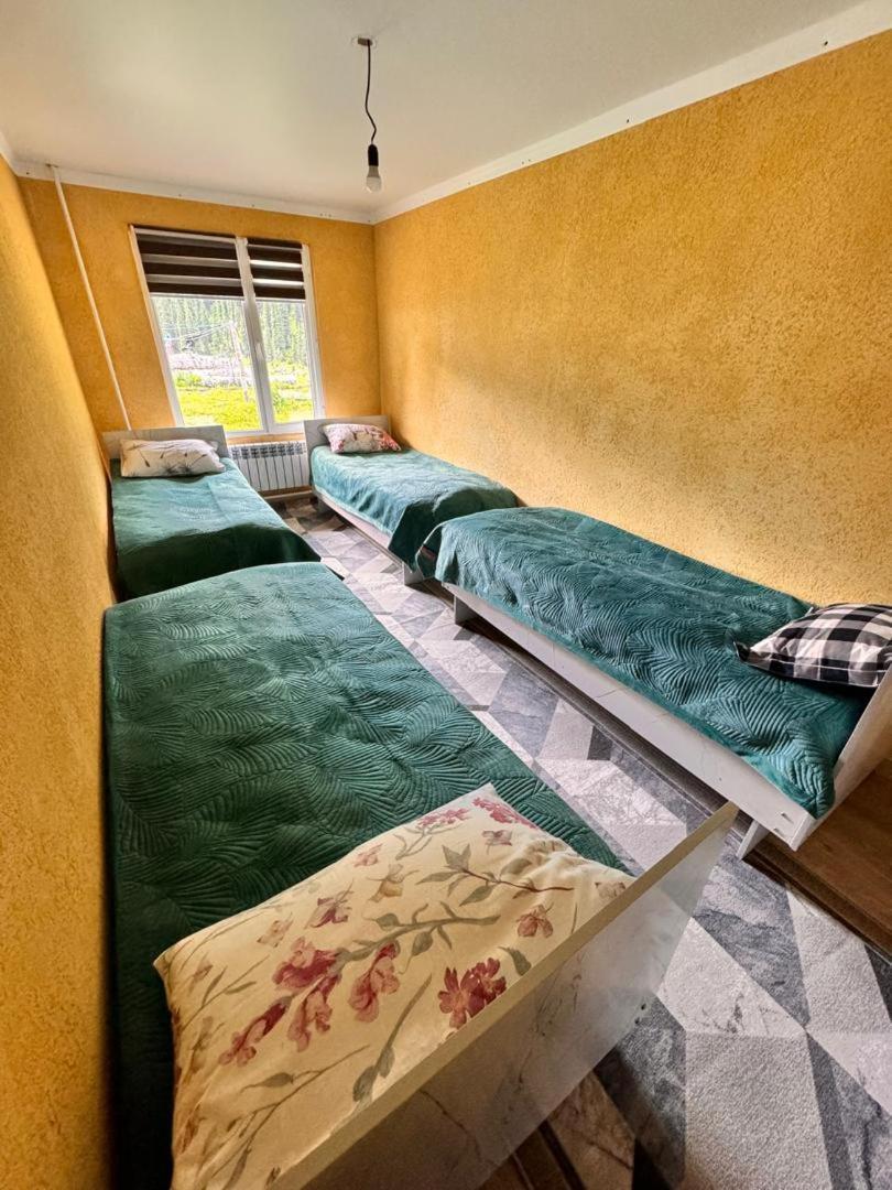 Ala-Kul Guesthouse In Altyn-Arashan Каракол Екстериор снимка