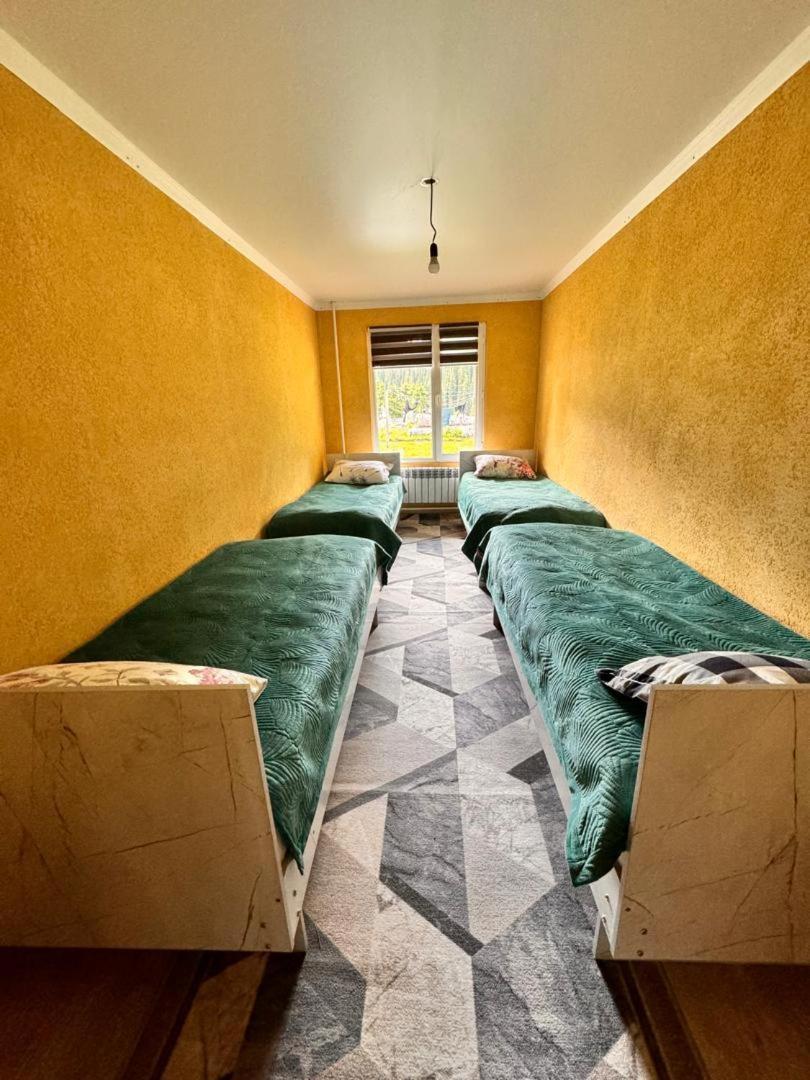 Ala-Kul Guesthouse In Altyn-Arashan Каракол Екстериор снимка