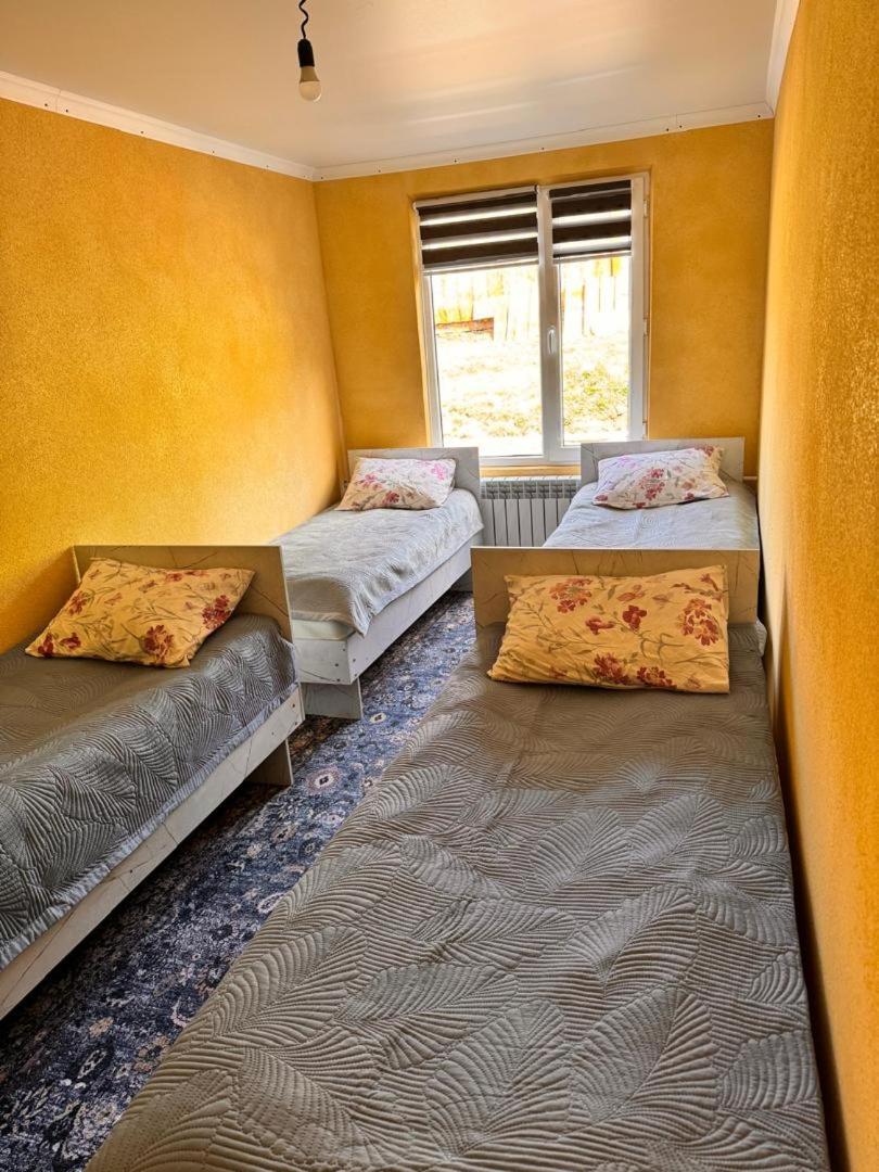 Ala-Kul Guesthouse In Altyn-Arashan Каракол Екстериор снимка